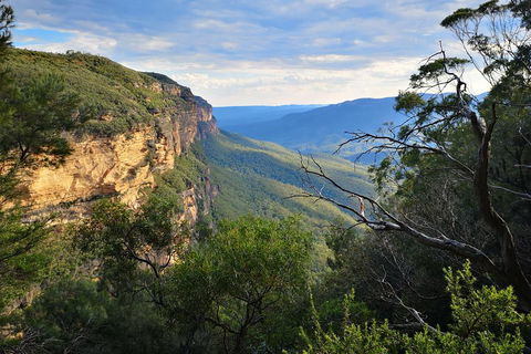 Blue Mountains Day Tour With Wildlife At Sunset From Sydney - Accommodation Cooktown 5