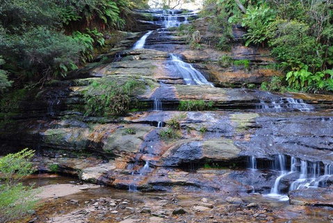 Blue Mountains Day Trip From Sydney With Amazing Lookouts (Private Tour) - Accommodation Cooktown 4