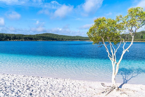 Lake McKenzie Full-Day Tour With Lunch From Hervey Bay - Accommodation Cooktown 1