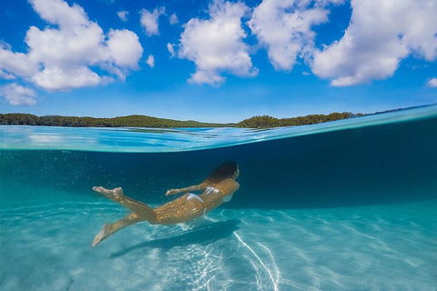 Lake McKenzie Full-Day Tour With Lunch From Hervey Bay - Accommodation Cooktown 5