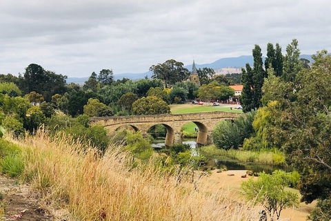 Day Tour In Mt. Field, Mt. Wellington, Bonorong Wildlife Sanctuary And Richmond - Accommodation Cooktown 3