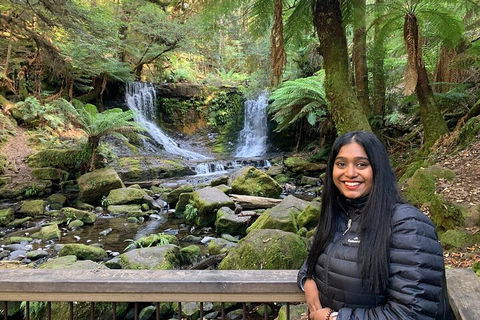 Day Tour In Mt. Field, Mt. Wellington, Bonorong Wildlife Sanctuary And Richmond - Accommodation Cooktown 5