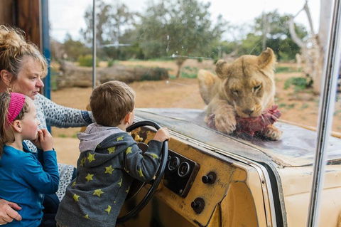 Werribee Open Range Zoo General Admission Ticket - Accommodation Cooktown 4