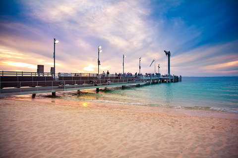 Tangalooma Island Resort Whale Watching Day Cruise With Dolphin Viewing - Accommodation Cooktown 3