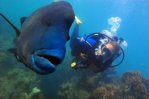 2 Night Whitsunday Islands Cruise On New Horizon From Airlie Beach - Accommodation Cooktown 4