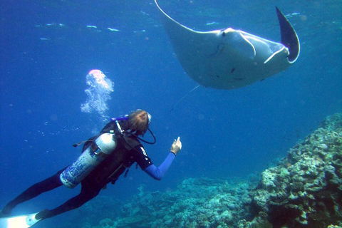 3 Day Whitsundays Sailing And Diving Adventure: Kiana - Accommodation Cooktown 3