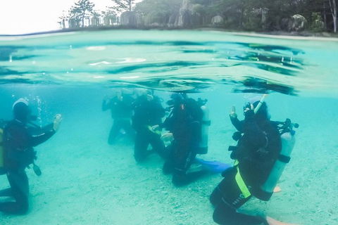 3 Day Whitsundays Sailing And Diving Adventure: Kiana - Accommodation Cooktown 4