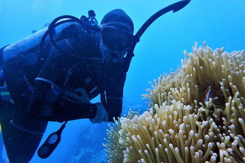 3 Day Whitsundays Sailing And Diving Adventure: Kiana - Accommodation Cooktown 5