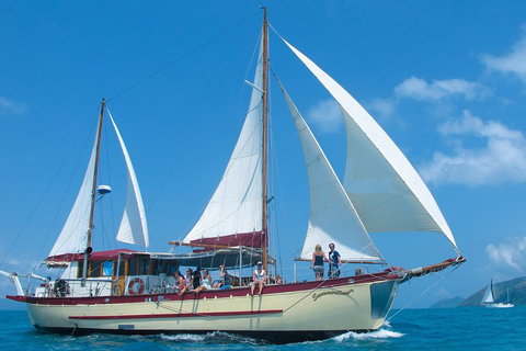 2-Day Whitsundays Sailing Adventure: Summertime - Accommodation Cooktown 1
