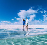 4-Day Coastal Loop via Monkey Mia Wild Dolphins Kalbarri Pinnacles Perth Return - Accommodation Cooktown