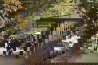 Adelaide Highlights Hahndorf  McLaren Vale Wine Tasting and Sightseeing Tour