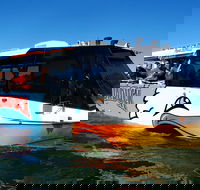 Paradise Jet Boating and Aquaduck Combo - Accommodation Cooktown