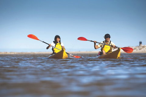 Kangaroo Island Self-Guided Kayaking On The Harriet River - Accommodation Cooktown 2