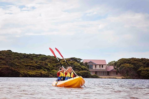 Kangaroo Island Self-Guided Kayaking On The Harriet River - Accommodation Cooktown 5