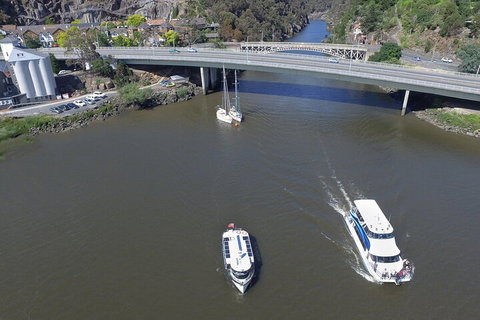 2.5 Hour Afternoon Discovery Cruise Including Cataract Gorge Departs At 1: 30 Pm - Accommodation Cooktown 5