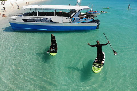Whitsunday Bullet Day Trip - Whitehaven Beach And Snorkelling - Accommodation Cooktown 4