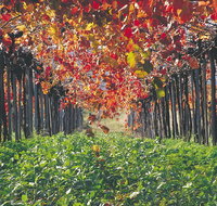 Margaret River Private Tour - Accommodation Cooktown