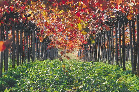 Margaret River Private Tour - Accommodation Cooktown 0