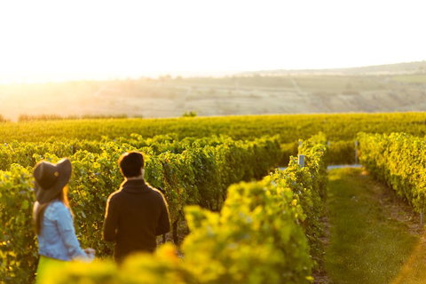Margaret River Private Tour - Accommodation Cooktown 2