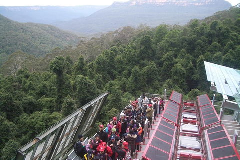 Blue Mountains Private Tour With Wildlife Park And River Cruise - Accommodation Cooktown 1
