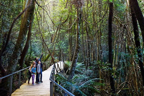 Blue Mountains Private Tour With Wildlife Park And River Cruise - Accommodation Cooktown 4