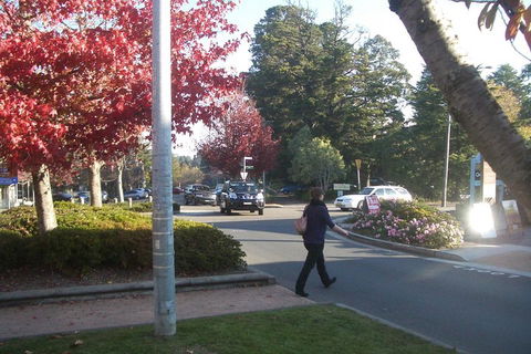 PRIVATE All-Day Blue Mountains Tour With Professional Guide For Up To 4 People - Accommodation Cooktown 1