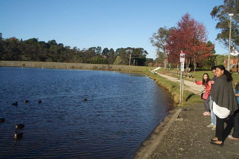 PRIVATE All-Day Blue Mountains Tour With Professional Guide For Up To 4 People - Accommodation Cooktown 2