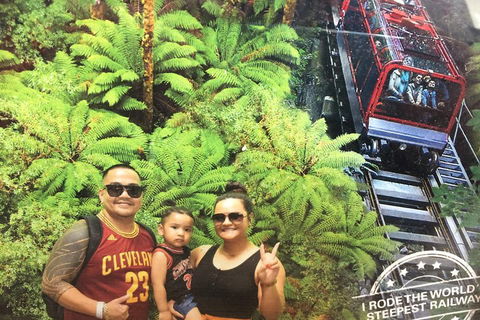 Blue Mountains Private Full-Day Tour From Sydney With Cruise - Accommodation Cooktown 3