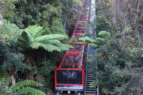 Blue Mountains Private Full-Day Tour From Sydney With Cruise - Accommodation Cooktown 5