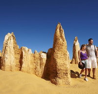 Pinnacles Day Trip from Perth Including Yanchep National Park - Accommodation Cooktown