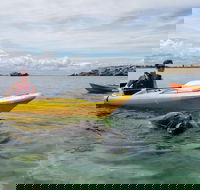Seal Island and Penguin Island or Point Peron Sea Kayak Tour - Accommodation Cooktown