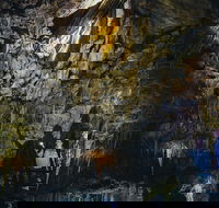 Ngilgi Cave Semi-guided Tour - Accommodation Cooktown