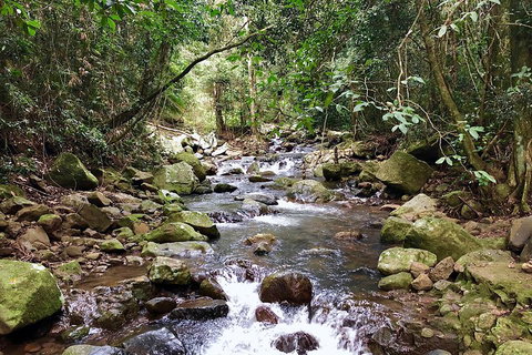 Exclusive Private Tour - Design Your Own - Accommodation Cooktown 1