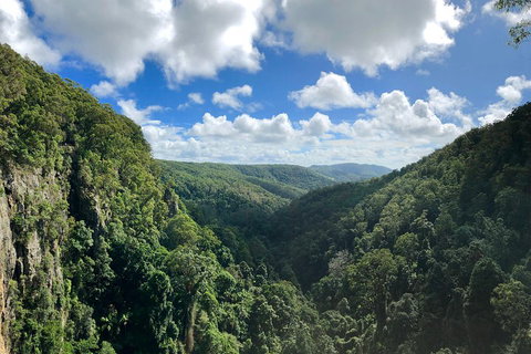 Exclusive Private Tour - Design Your Own - Accommodation Cooktown 3