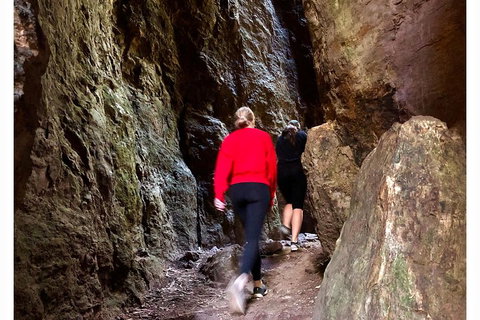 Exclusive Private Tour - Design Your Own - Accommodation Cooktown 4