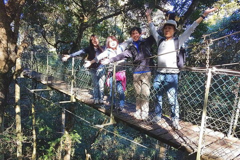 Exclusive Private Tour - Design Your Own - Accommodation Cooktown 5