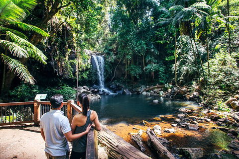 Aquaduck & Your Choice Of Gold Coast Rainforest Tour - Accommodation Cooktown 0