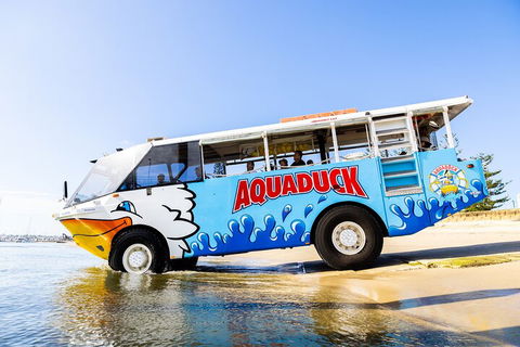 Aquaduck & Your Choice Of Gold Coast Rainforest Tour - Accommodation Cooktown 3