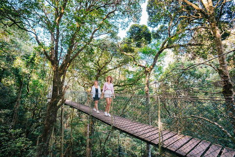 Aquaduck & Your Choice Of Gold Coast Rainforest Tour - Accommodation Cooktown 4