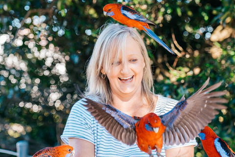 Aquaduck & Your Choice Of Gold Coast Rainforest Tour - Accommodation Cooktown 5