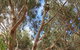 Kangaroo Island 4WD Tour - Best Of KI In 2 Days - thumb 0