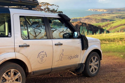 Kangaroo Island 4WD Tour - Best Of KI In 2 Days - Accommodation Cooktown 4