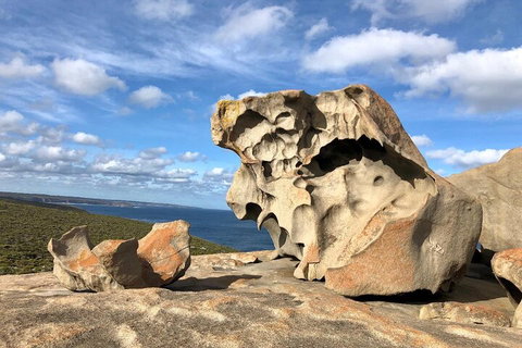 Kangaroo Island 4WD Tour - Best Of KI In 2 Days - Accommodation Cooktown 5