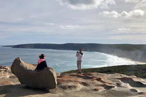 Kangaroo Island 4WD Tour - Flinders Chase - Accommodation Cooktown 2