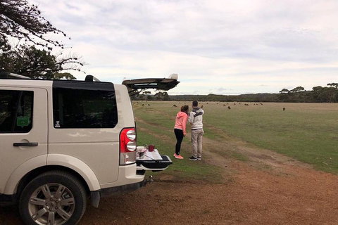 Kangaroo Island 4WD Tour - Flinders Chase - Accommodation Cooktown 3