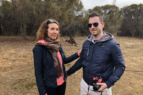 Kangaroo Island 4WD Tour - Best Of KI - Accommodation Cooktown 3