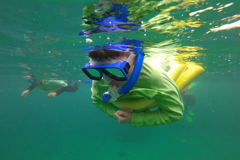 Manly Snorkel Trip And Nature Walk With Local Guide - Accommodation Cooktown 5