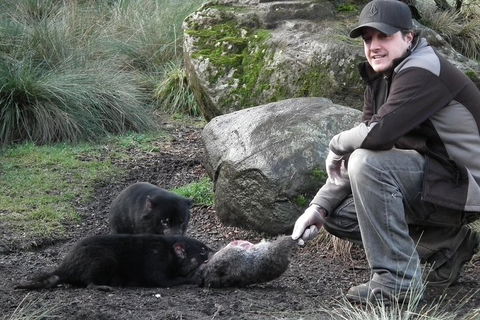 After Dark Tasmanian Devil Feeding Tour At Cradle Mountain - Accommodation Cooktown 2