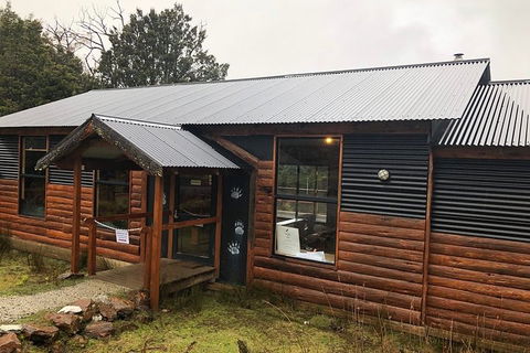 After Dark Tasmanian Devil Feeding Tour At Cradle Mountain - Accommodation Cooktown 3