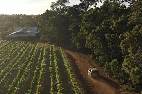 The All About Margaret River Tour: Wine, Coffee, Lunch And Forest - Accommodation Cooktown 1